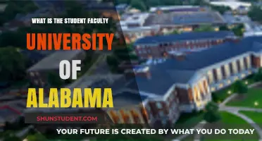 Unveiling the Student-Faculty Dynamics at the University of Alabama