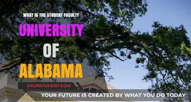 Alabama University's Student-Faculty Ratio: An Overview