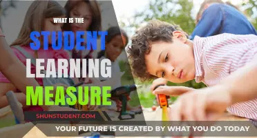 Unlocking Potential: Understanding the Student Learning Measure