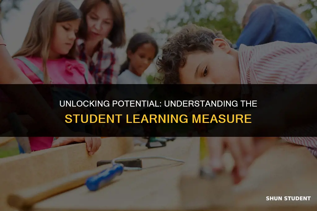 what is the student learning measure
