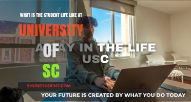 Student Life at University of SC: A Balancing Act