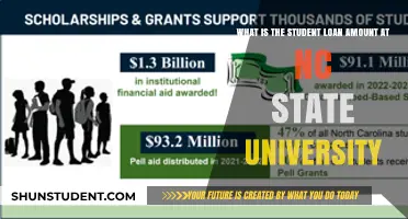 Student Loan Costs at NC State University