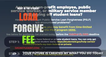 Understanding the Student Loan Forgiveness Fee: What Borrowers Need to Know