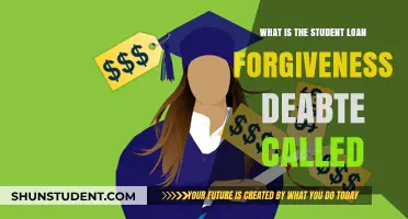 Understanding the Student Loan Forgiveness Debate: Key Issues and Names