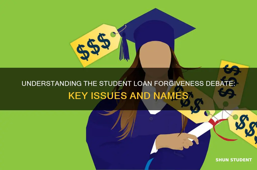 what is the student loan forgiveness deabte called