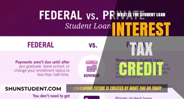 Understanding the Student Loan Interest Tax Credit: A Financial Relief Guide