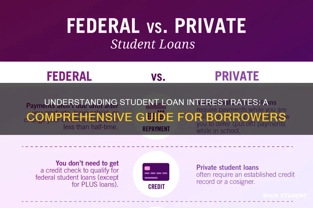 what is the student loan interest
