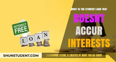 Interest-Free Student Loans: A Guide to Debt-Free Education Financing
