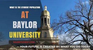 Student Life at Baylor: Population Insights