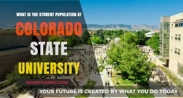 CSU's Student Body: A Diverse and Vibrant Community