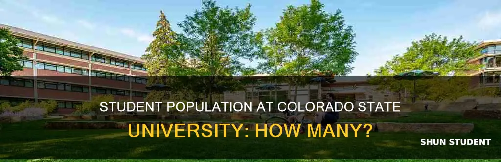 what is the student population at colorado state university