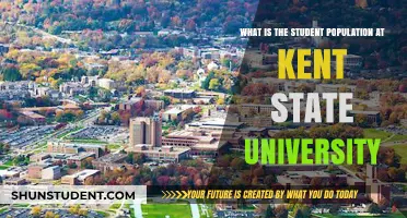 Unveiling Kent State's Student Diversity: A Comprehensive Overview