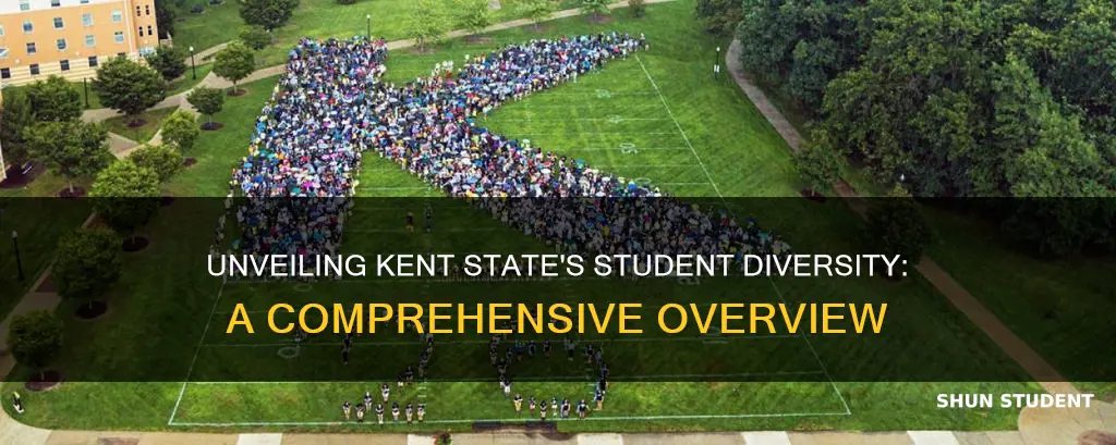 what is the student population at kent state university