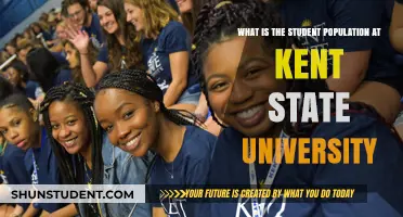 Student Life at Kent State University: Population Insights