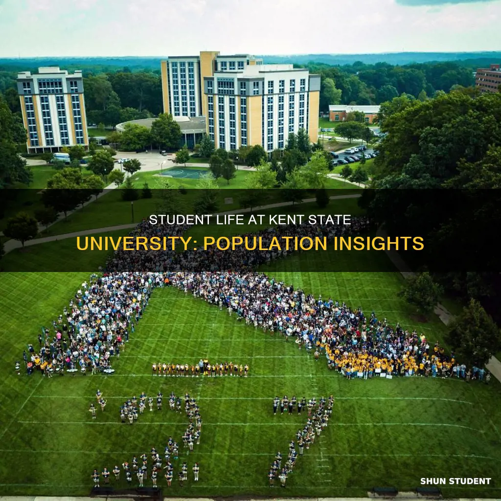 what is the student population at kent state university