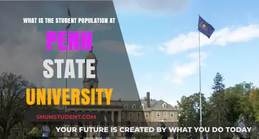 Unveiling Penn State's Student Diversity: Numbers and Trends