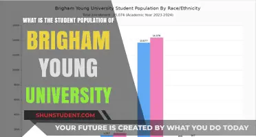 Exploring Brigham Young University's Student Population