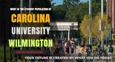 Wilmington Carolina University Student Population Insights