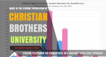 Christian Brothers University: Student Population Insights