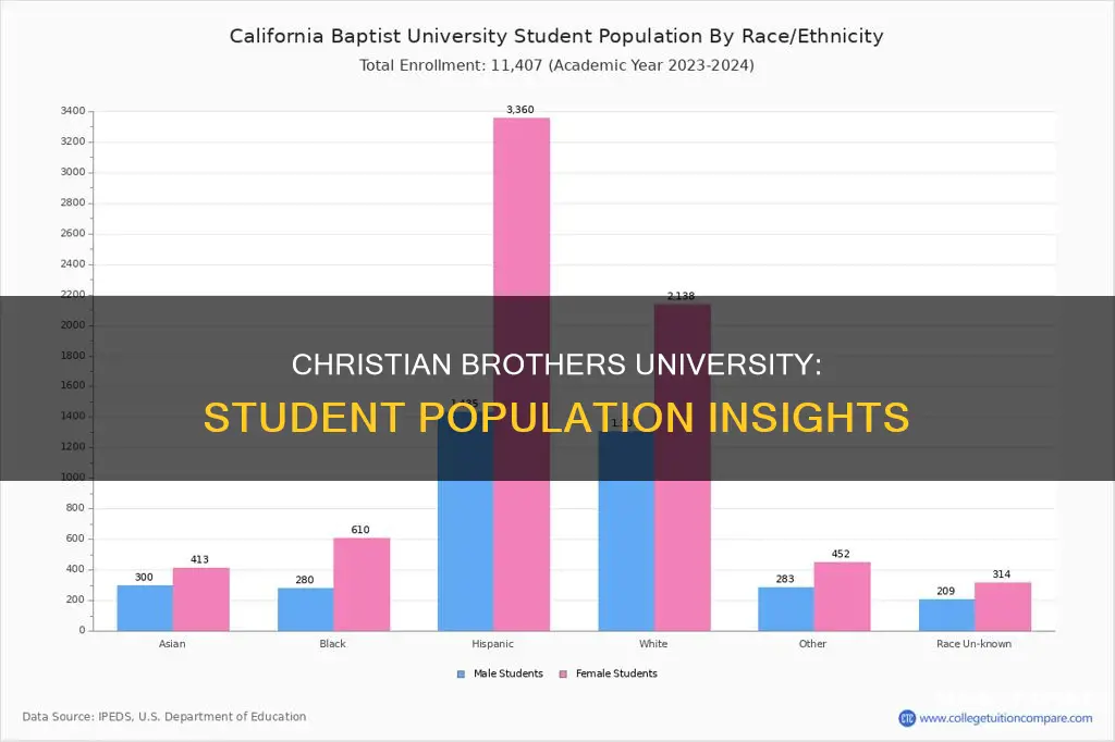 what is the student population of christian brothers university