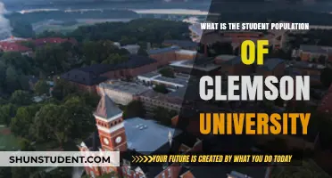 Unveiling Clemson's Student Body: A Comprehensive Overview