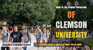 Understanding Clemson University's Student Population