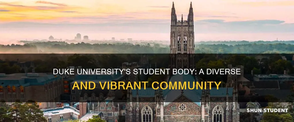 what is the student population of duke university