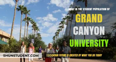 Grand Canyon University: Unveiling Student Diversity and Enrollment Insights