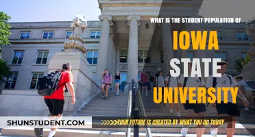 Iowa State University: Unveiling the Student Body's Diversity and Numbers