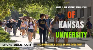 Unveiling the Student Body: Kansas University's Enrolment Insights