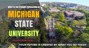 Exploring Michigan State University's Student Population