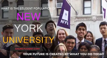 Exploring the Diversity: NYU's Student Population Unveiled