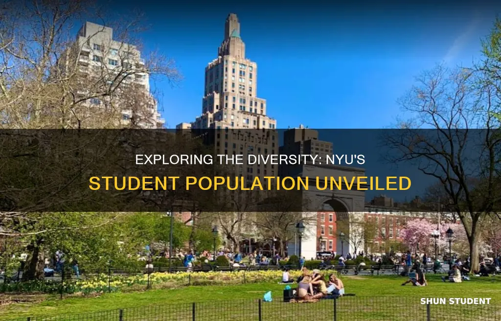 what is the student population of new york university