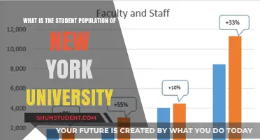 Exploring NYU's Student Population