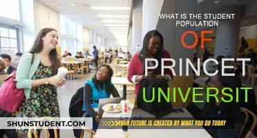 Unveiling Princeton's Student Body: Numbers and Diversity