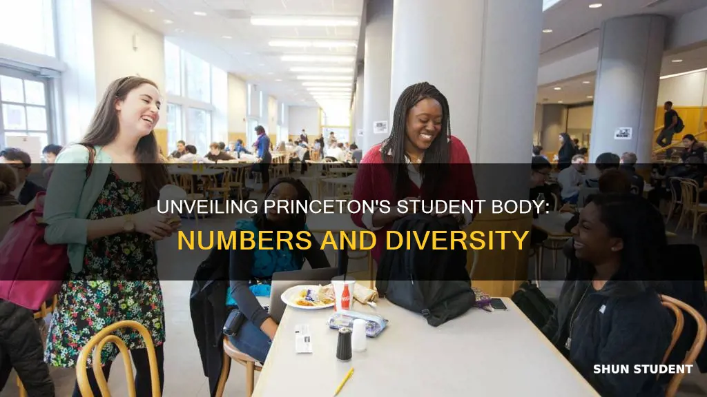 what is the student population of princeton university