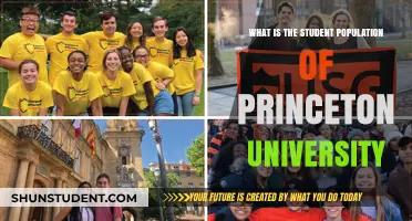Princeton University: Student Population Insights