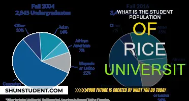 Unveiling Rice University's Student Body: A Demographic Overview