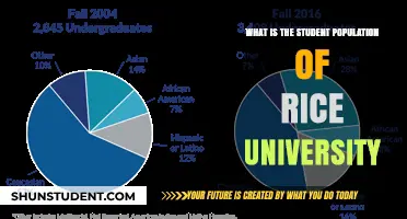 Rice University's Student Population: Numbers and Trends
