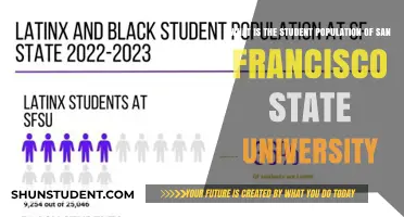 SF State University: Student Population Insights