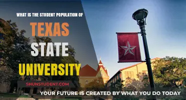 Texas State University: Student Population Insights
