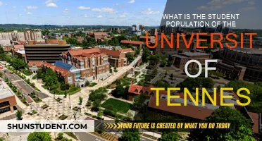 UT's Enrolling Power: Unveiling Tennessee's Student Population