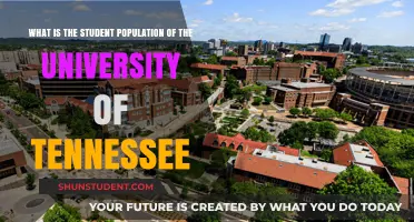 Exploring Student Population at the University of Tennessee