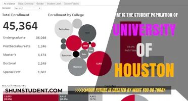 Houston University's Student Population: A Comprehensive Overview