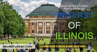 Unveiling the Student Body: University of Illinois Population Insights