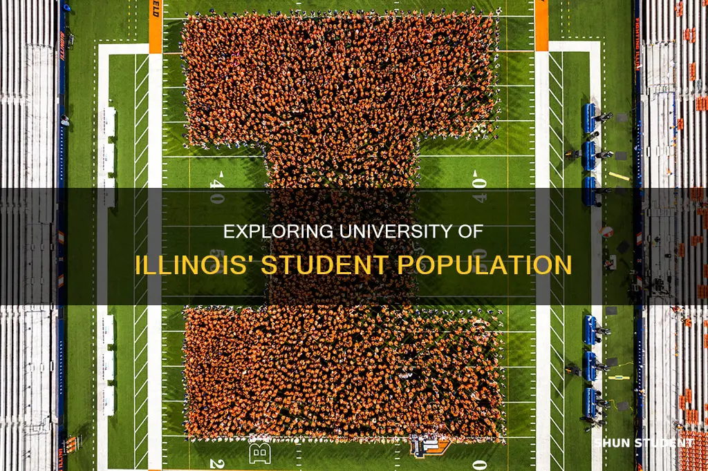 what is the student population of university of illinois