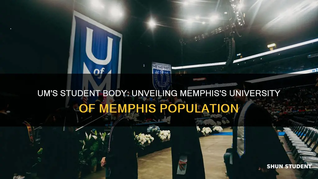 what is the student population of university of memphis