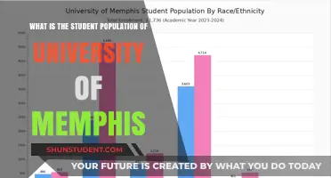 Student Population at University of Memphis: How Many?