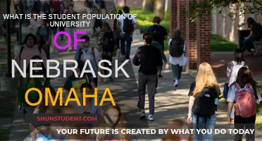 Uncover the Student Body: University of Nebraska Omaha's Enrolment Insights