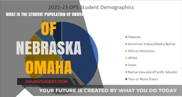 Student Population at the University of Nebraska Omaha Explored
